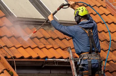Démoussage et hydrofuge de toiture à Roques